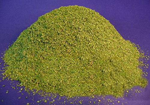 Modellbau Gras STREUMATERIAL maigrün Maxi-Packung 100ml