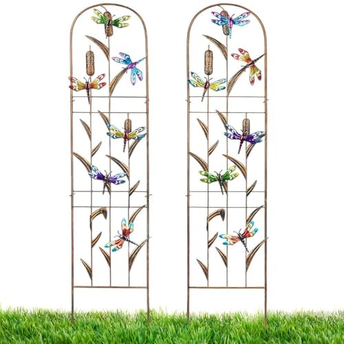 Taylor & Brown 2 Pack Dragonfly Metal Garden Trellis 60 Inch High Garden Obelisk for Climbing Plants Outdoor Decoration Arched Fence Vine Trellis for Patio, Lawn, Yard, Backyard