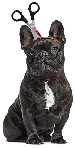 FANSU Halloween Kostüm Hund Haustier Hund Katze Halloween Kostüme, Einstellbare Warme Kleidung Netter mit Kapuze Pullover Hundepullover Party Cosplay Dekoration (M,Schere)