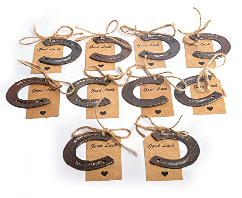 Wonder Care WC Lucky Horseshoes Western Weihnachtsdeko Hochzeitsgeschenke Rustikales Hufeisen Mini Horse Decor Party Western Party Dekorationen (Horseshoe 10 pcs)