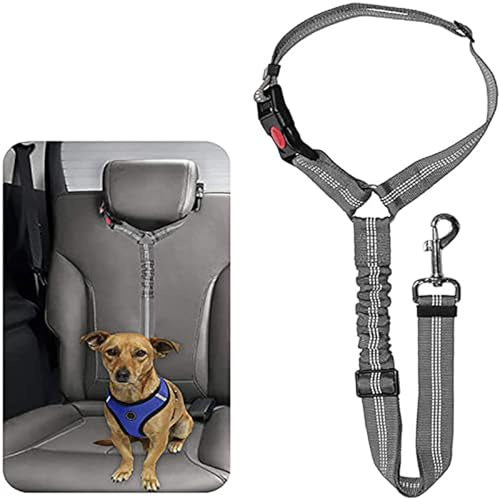 IGJCHUSYG Ceinture Securite Chien Voiture pour Ford F-350 Super Duty III Super Cab Long Box 2011-2016, 2 en 1 Laisse Chien Ceinture de Sécurité pour Animaux Harnais de Voiture Élastique