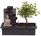 Plant in a Box - Bonsái con sistema de riego de fácil cuidado y cascada sobre la figura de Buda - Planta de interior - Altura 25-35cm