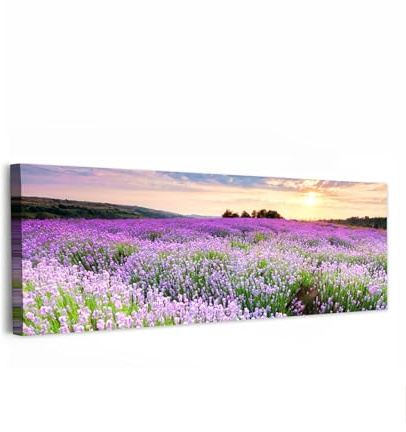 MuchoWow© Bilder Groß Wohnzimmer Deko Modern Wandbild XXL Kunstdruck | 120x40 cm - Leinwand Bild Schlafzimmer über Bett Room Decor Geschenke Blumen - Lavendel - Lila - Sonnenuntergang - Natur