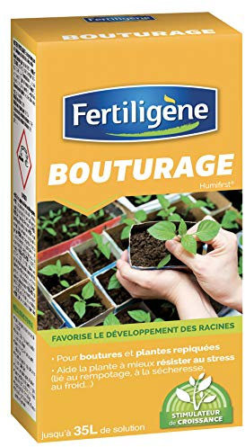 Fertiligène FBOUTU1 - Bouturage 70 ML - Favorise Le développement des Racines - pour boutures et Plantes repiquées - Aide la Plante à Mieux résister au Stress lié au rempotage, sécheresse, au Froid