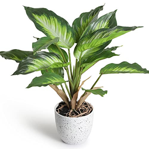 YunYite Künstliche Pflanzen,36cm Dieffenbachia Picta Mini Indoor-Topf Pflanzen Kunstplastik-Grünflanze, für Dekoratives Wohnzimmer Wohnung Balkon Büro