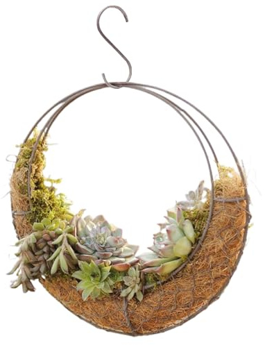 Fioriera Moon, Fioriera Moon sospesa Cesto rotondo in filo metallico ventilato in ferro con gancio Decorativo fai-da-te 11x3, 5x11 pollici Appeso per