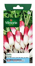 Vilmorin - Sachet graines Radis Pernot