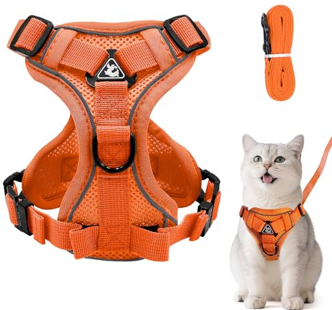 Justerbar kattsele som är rymningssäker, set med koppel, mjuk bröstsele för katter, kattungar, hundar, valpar, orange, M