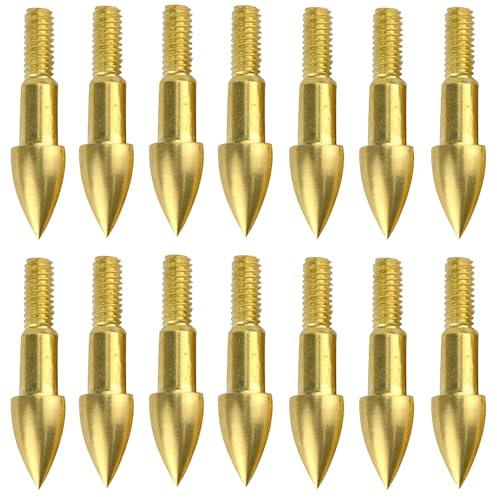 PYMUST 24pcs Pointe de flèche 75 Points de Champ vissés à Grain - Pointes de flèche de tir à l'arc pour la Pratique et Le tir à la Cible