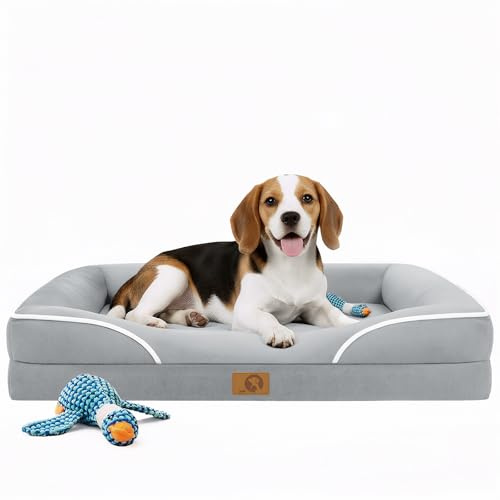 L'AGRATY Memory Foam Orthopedic Dog Beds Small Crate Dog Pad 60x70cm | Washable Dog Bed Sofa with Sides, Pet Couch with Removable Cover, Non-Slip Bottom, Chew Proof（Come with Gift Chew Toy）