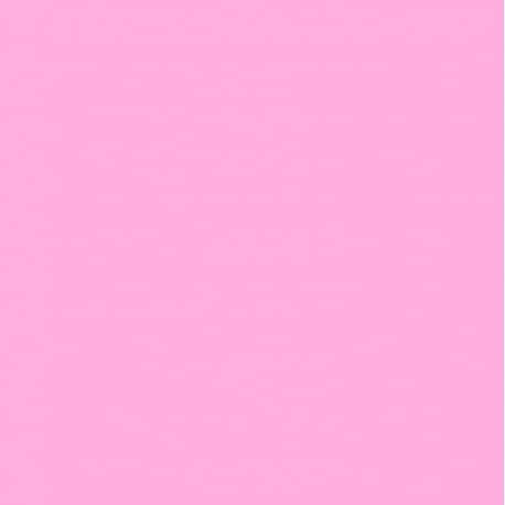 Astor Cosmetics 329 Lovely Cachemire Fashion Studio India Collection Nagellack