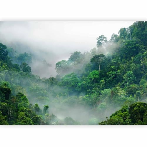 murando Fotomurales Selva 350x256 cm XXL Papel pintado tejido no tejido Decoración de Pared decorativos Murales moderna de Diseno Fotográfico Naturaleza Madera Tropical c-B-0346-a-a