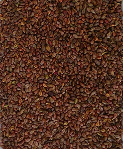 Traubenkerne 2 KG lose für Wärmekissen Traubenkernkissen Kissen Kältekissen Füllung Körnerkissen Kerne Körnerkissen Füllmaterial Traubenkernsäckchen Fußmassage Handmassage Ergotherapie Physiotherapie