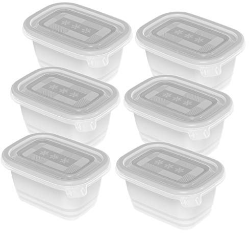 Rotho Set de 6 boîtes de congélation de 0,25 l avec couvercle, plastique (PP) sans BPA, transparent, 6 x 0,25 l (11,2 x 7,8 x 5,9 cm)
