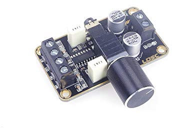 ANGEEK Amplificador digital estéreo de doble canal 5 Wx2, PAM8406, módulo de amplificación de audio, 5 V, clase D