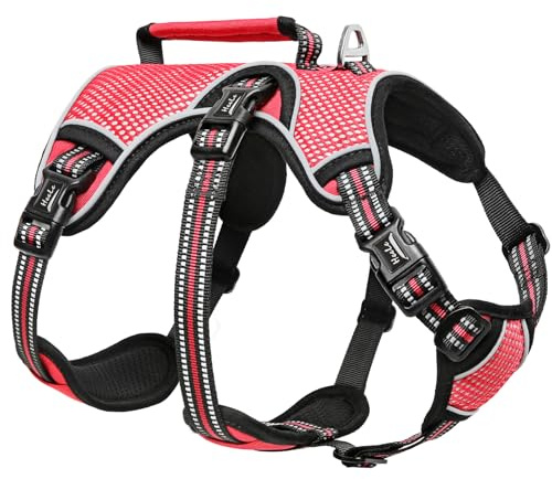 HEELE Hundegeschirr, Ausbruchsicher, Schnalle im Halsbereich, Reflektierend, Brustgeschirr mit Robuster Griff, Panikgeschirr Hund, Hundegeschirr Stabilen Eindruck, Passt wie Angegossen, Rot, M | Brustgeschirr mit Robuster Griff, Panikgeschirr Hund, Reflektierend, Hundegeschirr Stabilen Eindruck, Passt wie Angegossen