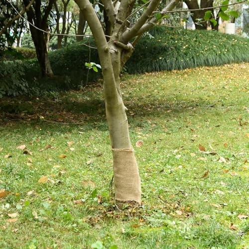 Mokuyary Rouleau de Jute 0,25x10 m 100% Jute 200 g/m² pour Jardin, Terrasse