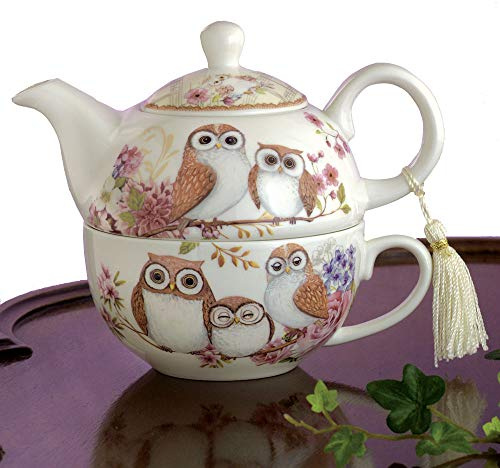 Bits y piezas – té para uno búhos porcelana tetera y taza – Adorable diseño de búho