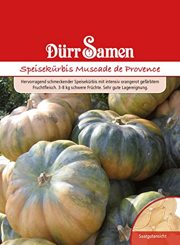 Dürr-Samen - Speisekürbis Muscade de Provence Saatgut