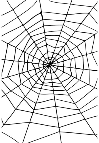 Halloween! Smiffys Spinne und Spinnennetz, Schwarz