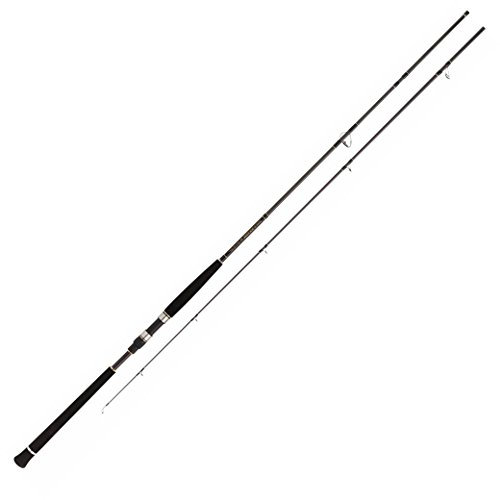 Pro marine Shore Jig Rounder 96 MH Spinnrute Salzwasser Shore Jigs Modell