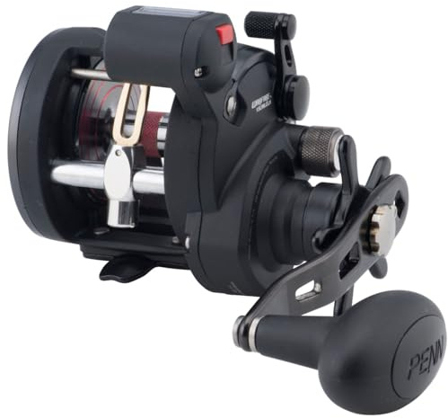 PENN Warfare Level Wind Multirolle für Salzwasser Boots- oder Kajakangeln