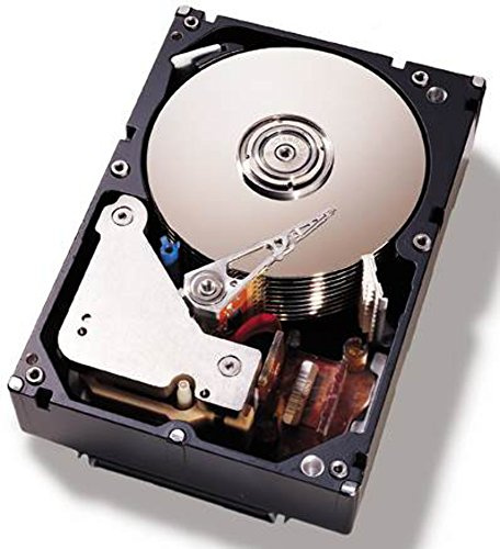 IBM 81Y9786 - Disco rigido interno 500 GB (3,5), 7200 rpm, SATA