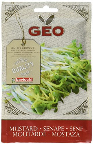 Geo Graine à Germer Moutarde Brun 12,7 x 0,7 x 20 cm