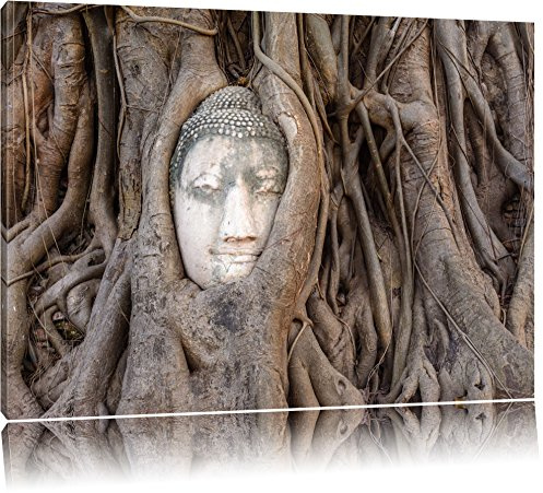 Pixxprint Buddha Kopf verwachsen im Baum, Größe: 100x70cm, Leinwandbild, fertig gespannt, Wandbild, Dekoration, Kunstdruck, kein Poster