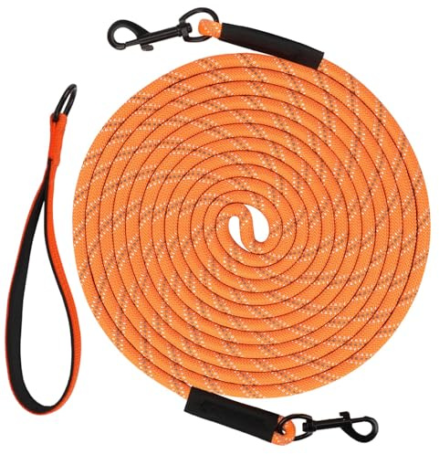 Taglory Schleppleine 5m für Hunde | Reflektierendes Seil | Doppelter Haken | 8mm Orange