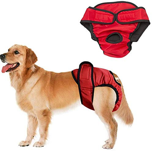 Hundewindeln Hundewindeln FüR HüNdinnen Inkontinenz Windel Windeln Hunde Hundesaison Hosen Hygienehosen für Hunde Hunde Periode Hosen red,L