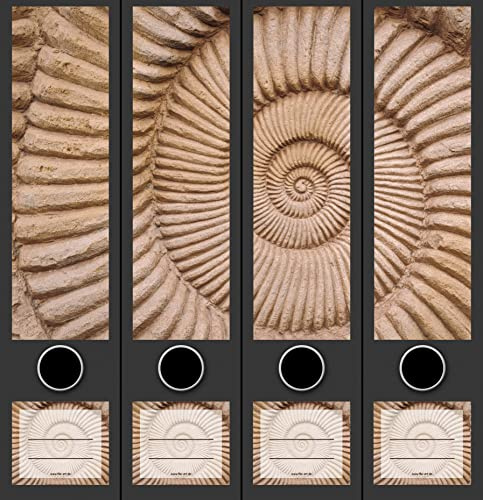 4er Set breite Ordnerrücken Nautilus Muschel Maritim File Art Ordner Etiketten Deko AJ 2201