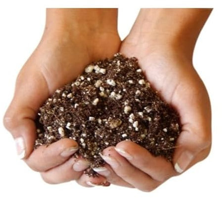 Turba para Cactus y Suculentas Formato de 5 Litros de Sustrato Especial