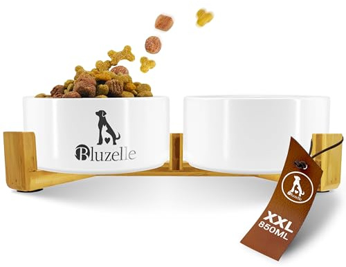 bluzelle Ciotole Cani Rialzate 2X 850ml – Stazione Ceramica 2in1, Bianco | Digestione & Postura Sane, Stabilità Massima, BALANCE BOWL