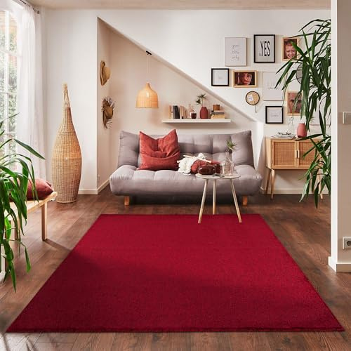 Carpettex Teppich Wohnzimmerteppich, kurz, modern, Farbe und Größe wählbar, rot, 120x170 cm