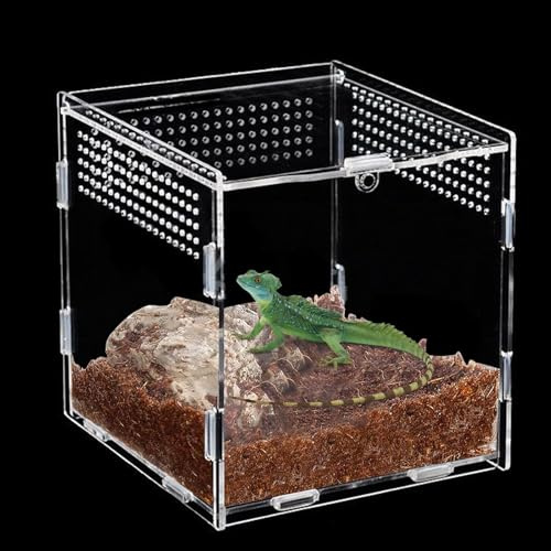 Zyiphor Terrarium Phasme Terrarium Escargot Boîte d'alimentation D'insectes Boîte D'élevage de Reptiles Terrariums Acrylique Terrariums Transparent pour Escargots, Araignées (15x15x15cm)