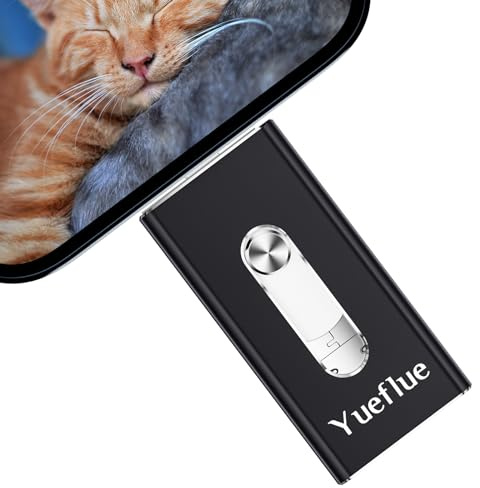 Yueflue Clé USB 64 Go, 3 en 1 Cle USB lphone Stockage avec i0S/Pad/Mac/Android/Type C/PC pour Téléphone Portable, Plus de Stockage de Photos et de Vidéos sans Télécharger l'application. (Gun)