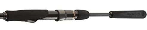 DAIWA Exceler Catfish Spin, 2.40m, 0-185g, Wallerrute