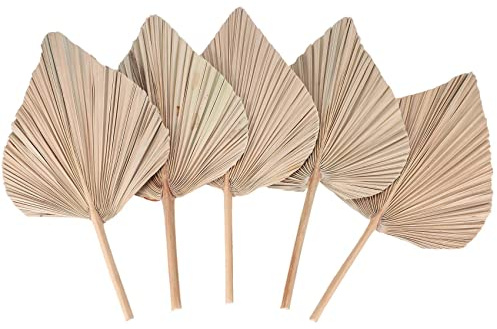 Jrudjsnhhty DecoracióN de HabitacióN con Hojas de Palma Secas, 5 Piezas, 18 Pulgadas de Alto X 10 Pulgadas de, DecoracióN Grande de Hoja de Palma Natural para un Hermoso Aspecto Bohemio