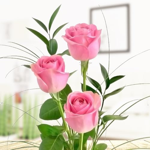 3 rosa Rosen - Rosenstrauß mit drei langstieligen Rosen, Ruskus und Gräsern - Inklusive gratis Vase und Grußkarte