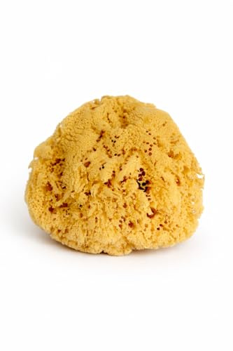 Real Sea Sponge for Men - Extra Large 6-7, Totally Natural, Kind on Skin for an Invigorating Shower, Supplied in Breathable Mesh Bag. Great for The Gym, Grooming, Bath & Body Gift by Constantia Man