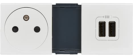 Legrand - Prise de courant Surface + double chargeur USB Type-A Mosaic précâblée 5 modules - blanc