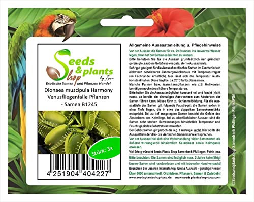 Stk - 3x Dionaea muscipula Harmony Venusfliegenfalle Pflanzen - Samen B1245 - Seeds & Plants Shop by Ipsa