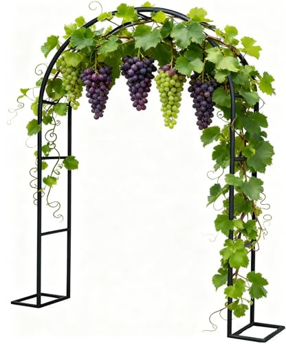 Generisch Rosenbogen Metall Stabil Rosenbögen Kletterpflanzen Rankhilfe Rankgitter Wetterfest Outdoor Pergola 80-350cm W X 200/220/230cm H(Schwarz,80x200cm/31x79in)