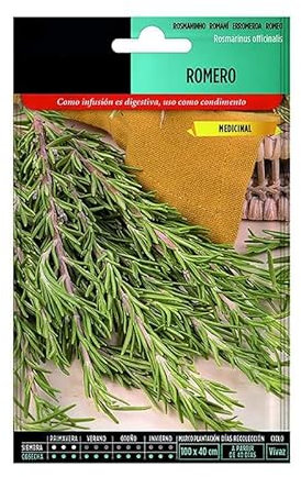 Semillas de Romero PREMIUM para Cultivar Plantas Aromáticas en Casa