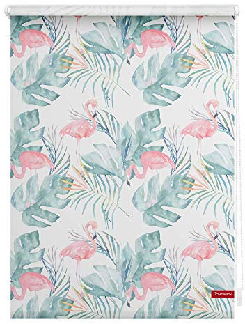 Lichtblick Klemmfix Tageslicht-Rollo mit Motiv, ohne Bohren, Blickdicht, Seitenzugrollo, Made in Germany, Flamingo - Rosa Grün 100 cm x 150 cm (B x L)