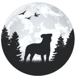 Jack Russell Terrier Tagesplaner: Jack Russell Terrier Mond / Kalender 2022 / Wochenplaner Tagesplaner Planer / Planungsbuch To-Do-Liste / 6x9 Zoll / 100 ausfüllbare Seiten