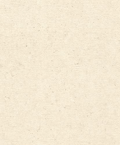 Rasch Tapeten Vliestapete (universell) Beige 10,05 m x 0,53 m Concrete 520835