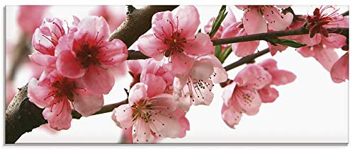ARTland Wanddeko Glasbilder Wandbild Glas Bild einteilig 125x50 cm Querformat Natur Blumen Blüten Kirschblüten Baum Frühling T5PL