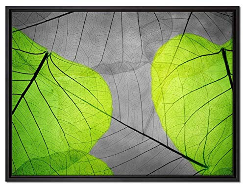 Pixxprint schöne zarte Blätter Leinwandbild 80x60 cm im Bilderahmen, Wandbild, Schattenfugenrahmen, Kein Poster